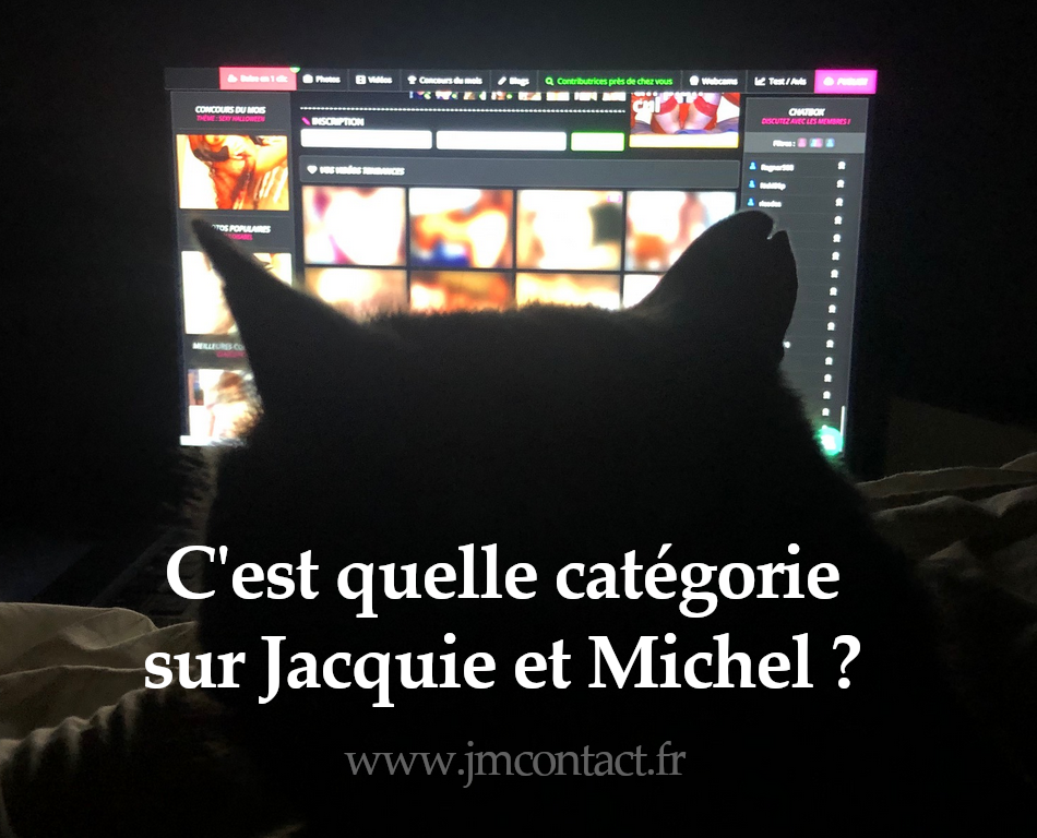 Quand ton chat ne sait pas quelle catégorie choisir sur Jacquie et Michel